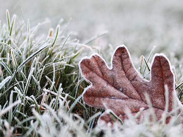 瞬時低溫4℃處理