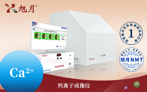 Gradraw?鈣離子成像儀
