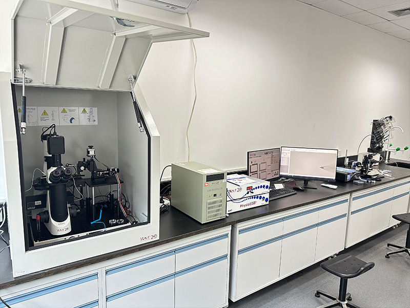 浙江大學(xué)Zhejiang University