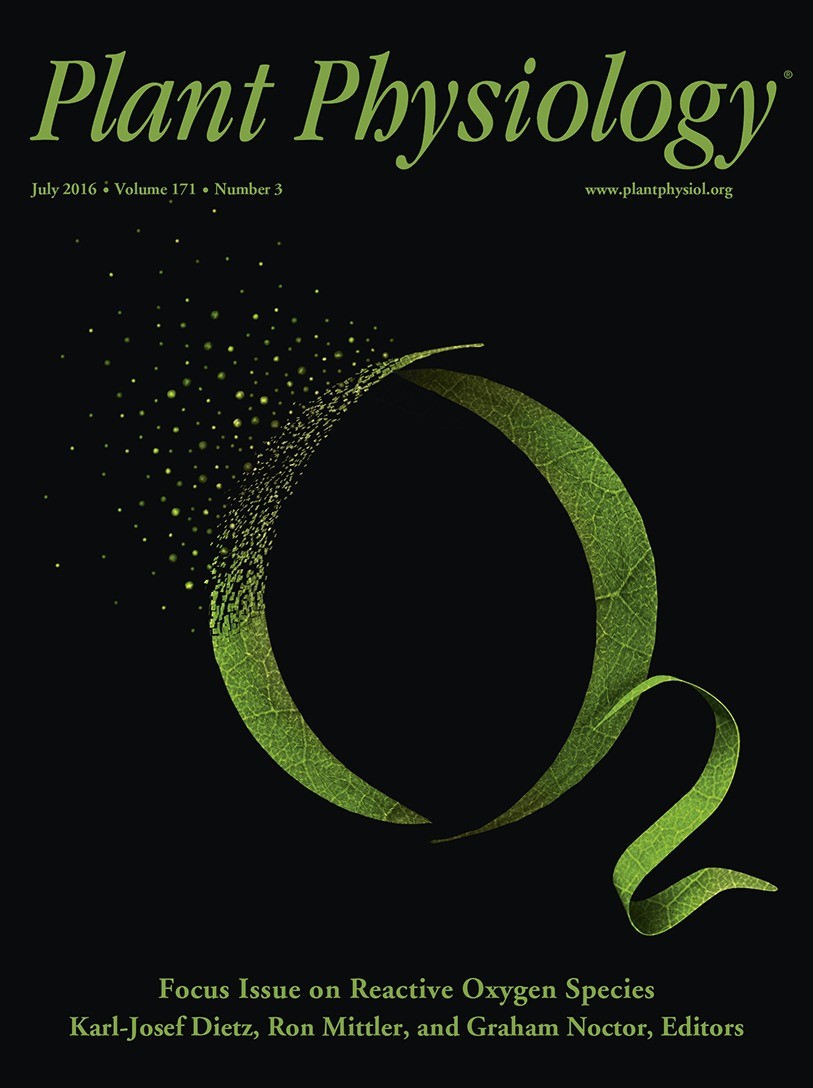 Plant Physiol ：山東大學、山東省農(nóng)科院丨線粒體丙酮酸載體調(diào)控植物耐鎘的機理（附NMT實驗體系）