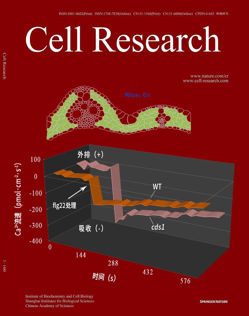 NMT鈣流為環(huán)核苷酸門控通道介導(dǎo)水稻抗病性機(jī)制研究提供關(guān)鍵證據(jù)