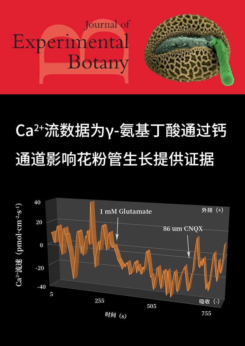 Ca2+流數(shù)據(jù)為γ-氨基丁酸通過鈣通道影響花粉管生長提供證據(jù)