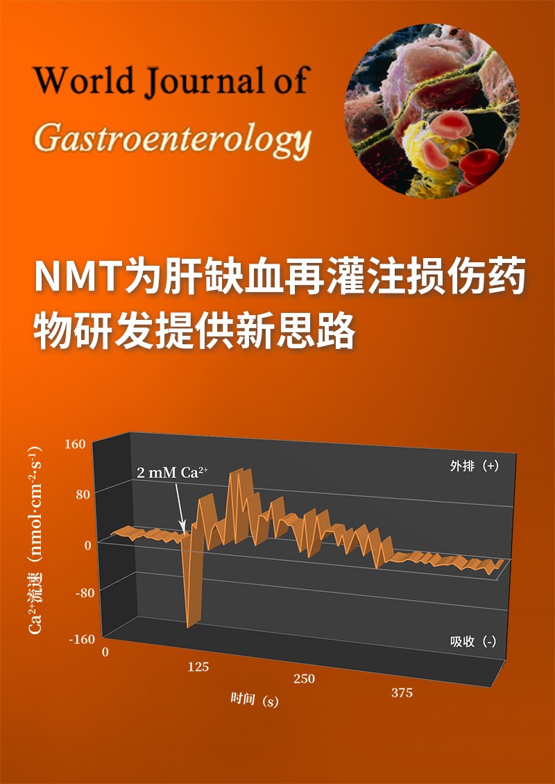 NMT為肝缺血再灌注損傷藥物研發(fā)提供新思路