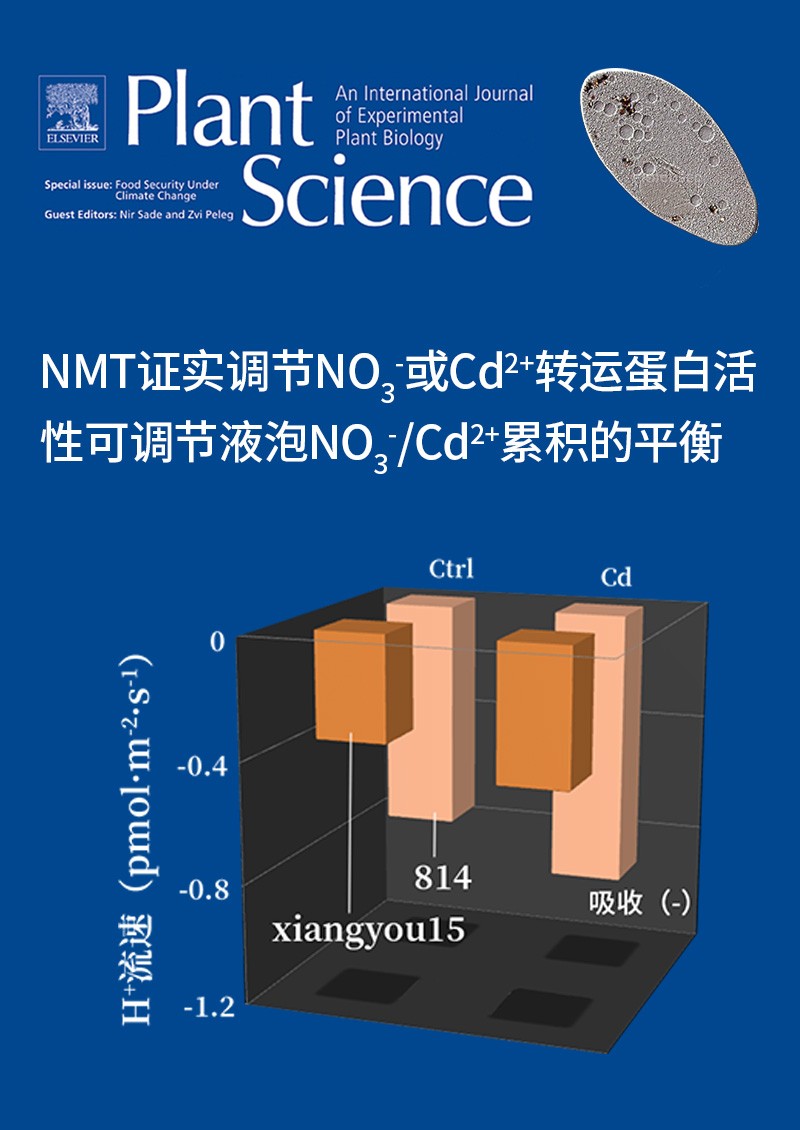 NMT證實調(diào)節(jié)NO3-或Cd2+轉(zhuǎn)運蛋白活性可調(diào)節(jié)液泡NO3-/ Cd2+累積的平衡