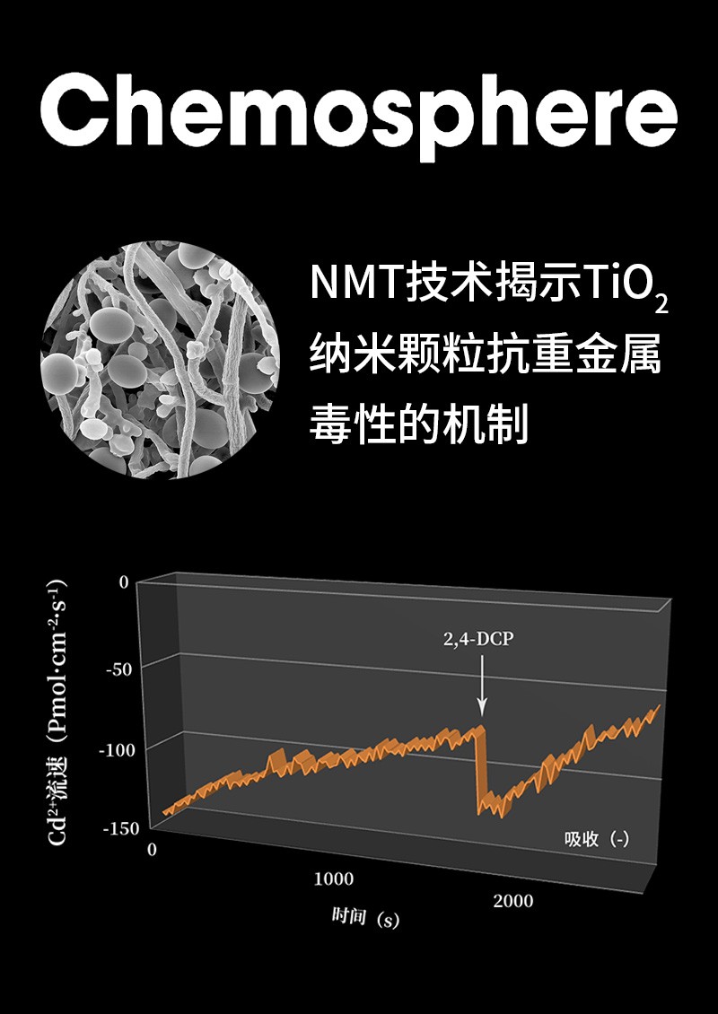 NMT技術(shù)揭示TiO2納米顆?？怪亟饘俣拘缘臋C(jī)制
