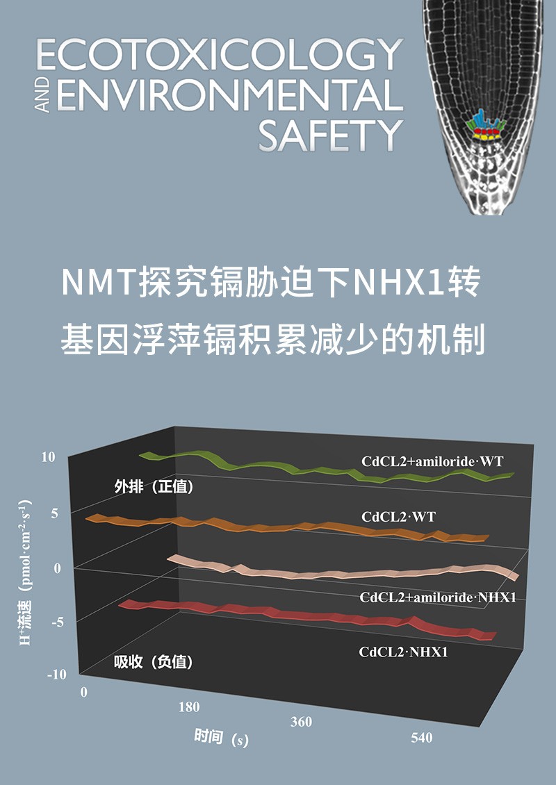 NMT探究鎘脅迫下NHX1轉(zhuǎn)基因浮萍鎘積累減少的機制