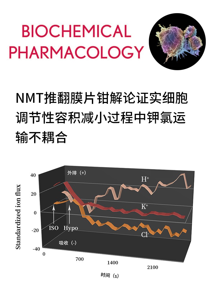 NMT推翻膜片鉗解論證實(shí)細(xì)胞調(diào)節(jié)性容積減小過程中鉀氯運(yùn)輸不耦合