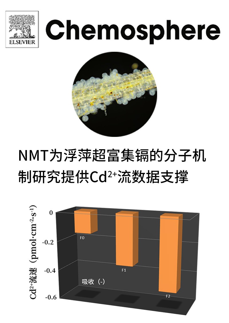 NMT為浮萍超富集鎘的分子機(jī)制研究提供Cd2+流數(shù)據(jù)支撐