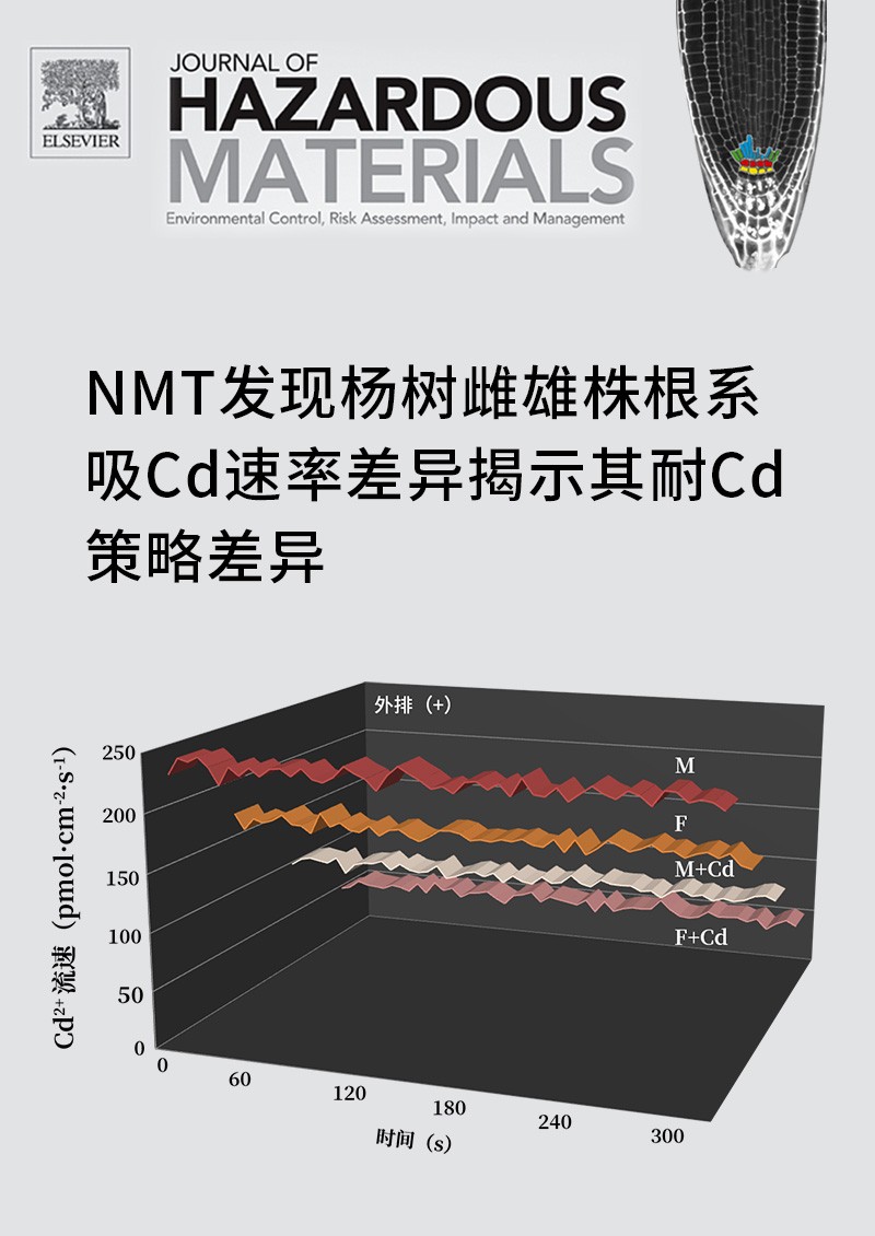 NMT發(fā)現(xiàn)楊樹雌雄株根系吸Cd速率差異揭示其耐Cd策略差異