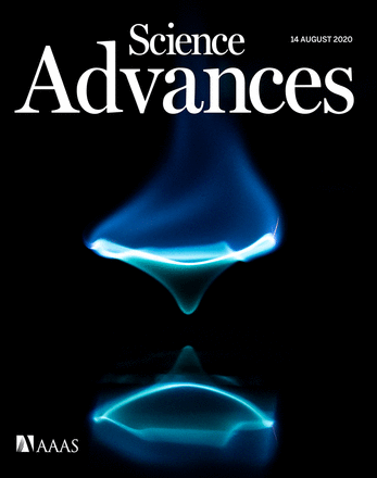 應(yīng)用NMT發(fā)現(xiàn)低濃度ABA促進(jìn)質(zhì)子分泌是根系響應(yīng)水分脅迫和向水性的關(guān)鍵機制