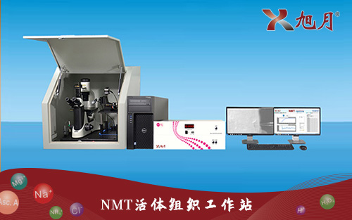 NMT活體組織工作站