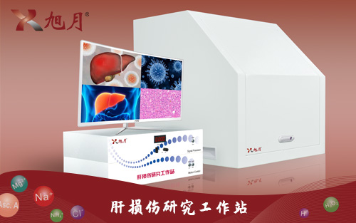 肝損傷研究工作站