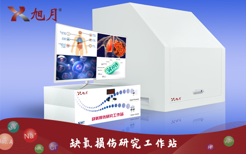 缺氧損傷研究工作站