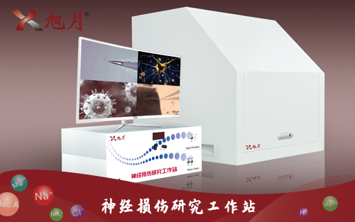 神經損傷研究工作站