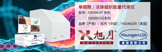 單細胞/活體組織能量代謝儀